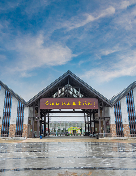 益陽市嘉益農業(yè)科技發(fā)展有限公司